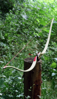 Deteill Langbogen